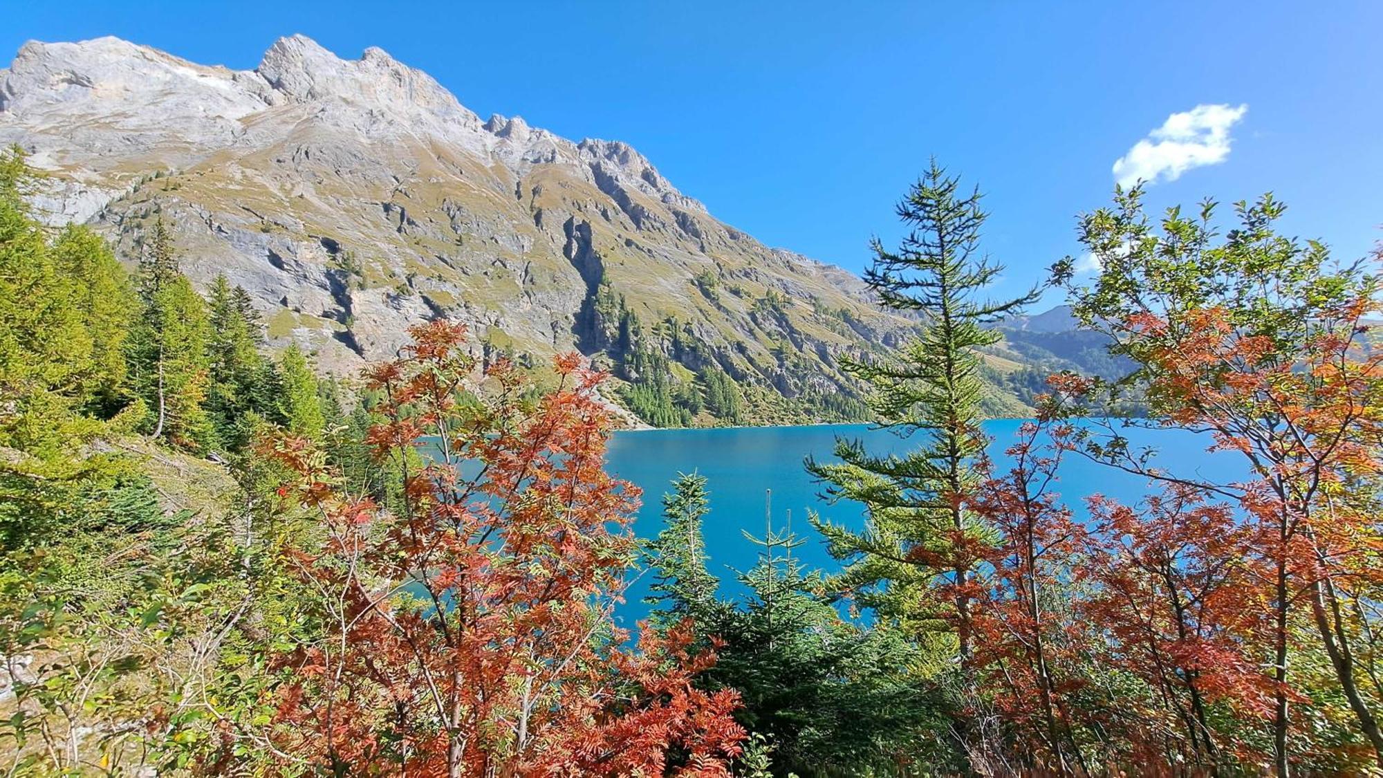 Chalet Diognysos B&B, Boutique Hotel & Wellness Crans-Montana Exteriör bild